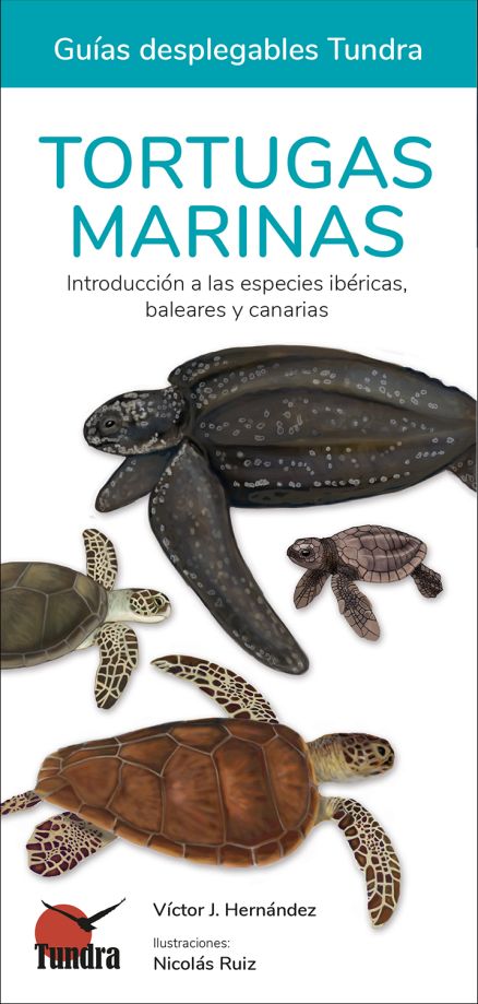 Libros: Tortugas marinas. Introducción a las especies ibéricas y canarias -  DISPONIBLE 25 FEBRERO 2023 ¡HAZ YA TU PEDIDO!