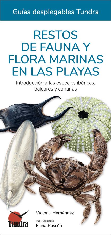 Libros: Restos de fauna y flora marinas en las playas. Introducción a las  especies ibéricas, baleares y canarias