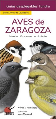 Aves_Zaragoza3
