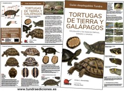 tortugas_galapagos